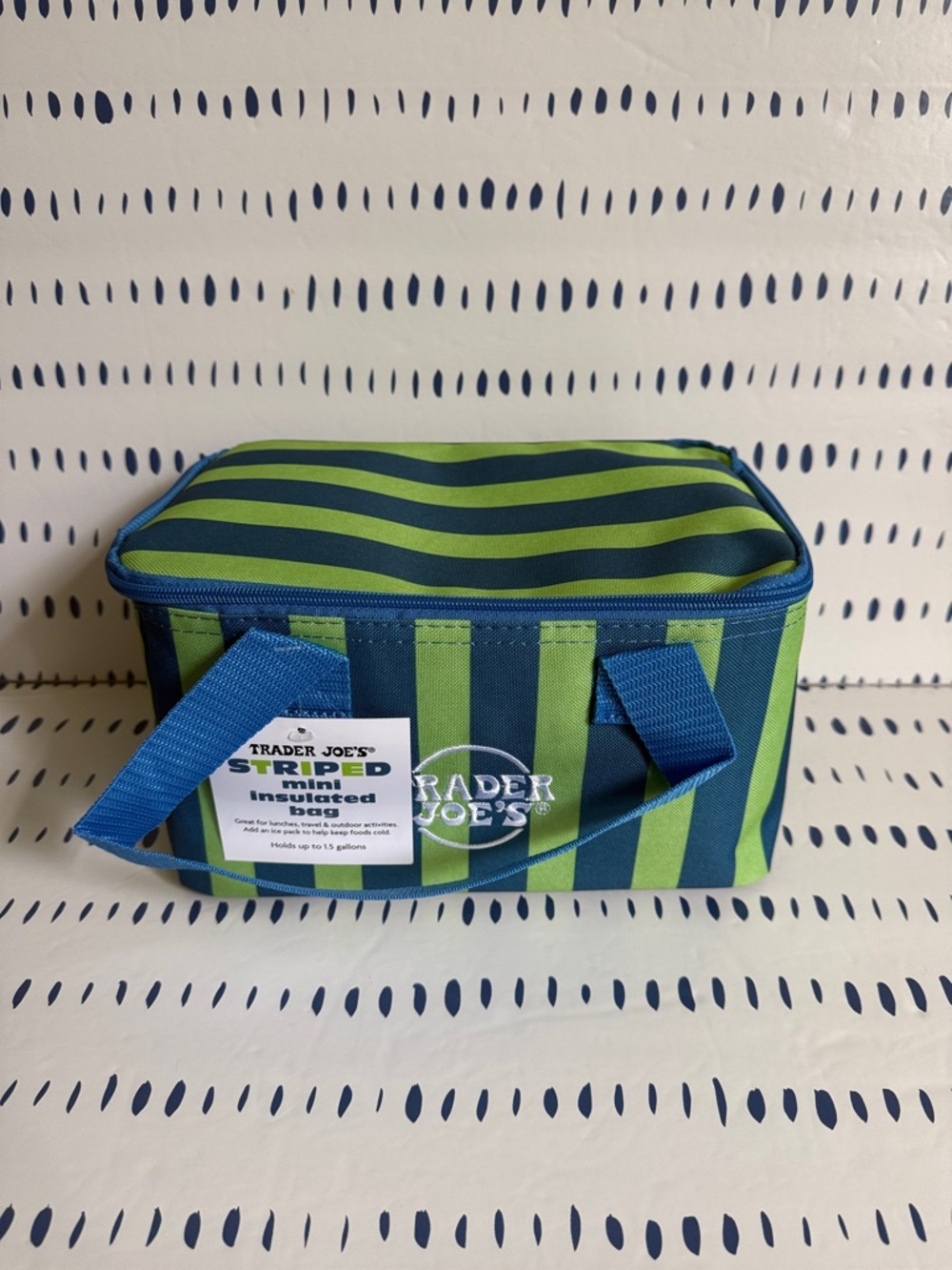Trader Joe's Blue & Green Striped Insulated Mini Bag Summer 2026